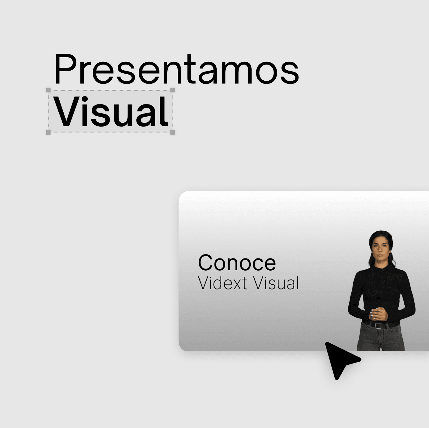 Presentación Vidext Visual